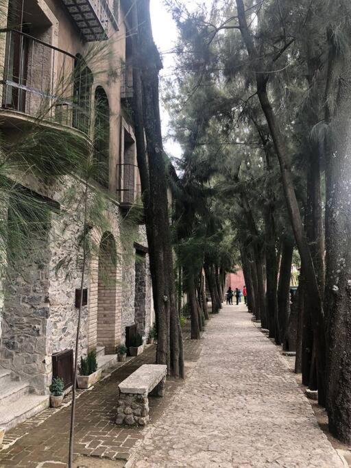 Increible Loft Completo En Val'Quirico Leilighet Santeagueda Eksteriør bilde
