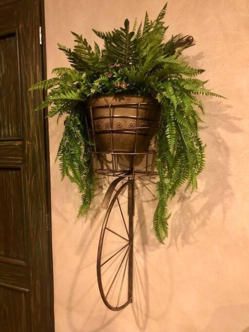 Increible Loft Completo En Val'Quirico Leilighet Santeagueda Eksteriør bilde