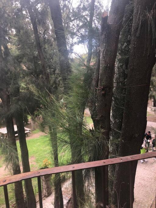 Increible Loft Completo En Val'Quirico Leilighet Santeagueda Eksteriør bilde